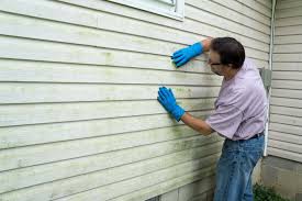 Best Wood Siding Installation  in Heeia, HI